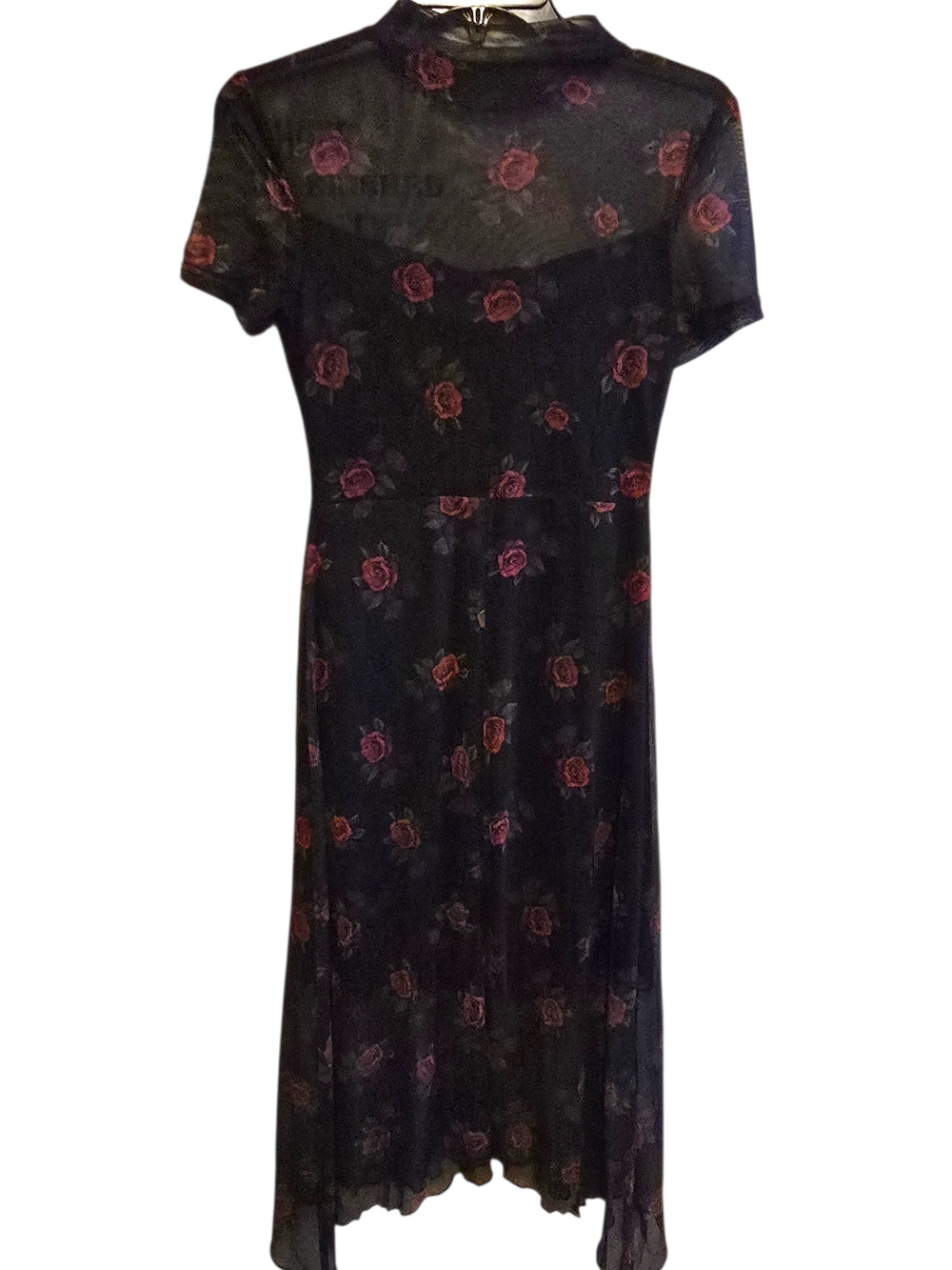 Goth Dark Vintage Floral Mesh Maxi Dress